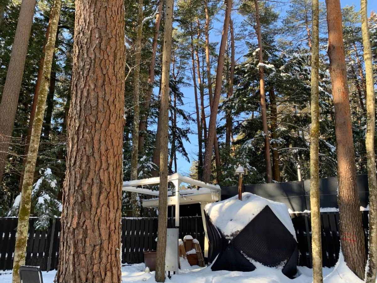 Fuji Fumoto Forest Hotspring ふもとの森温泉 富士河口湖町 エクステリア 写真