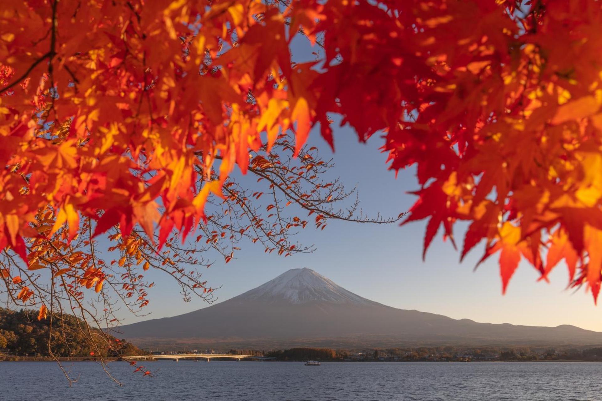 Fuji Fumoto Forest Hotspring ふもとの森温泉 富士河口湖町 エクステリア 写真